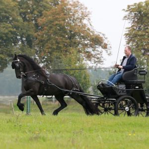 Tessa ut 'e Reiden